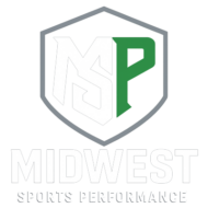 MSP 1